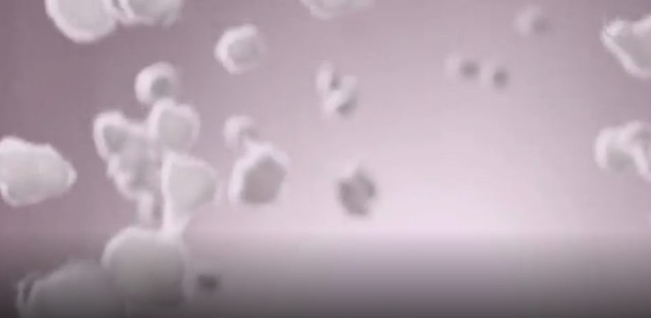 pp电子绒柔暖型内衣