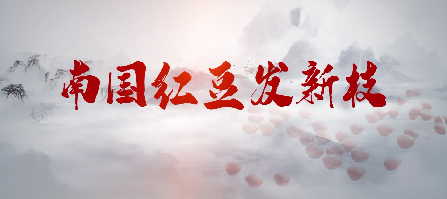 南国pp电子发新枝